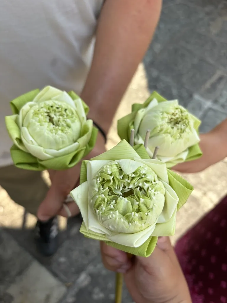Fresh lotus flowers folded as temple offerings in Bangkok